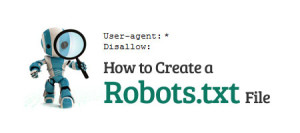 How to Create a Rotots.txt File